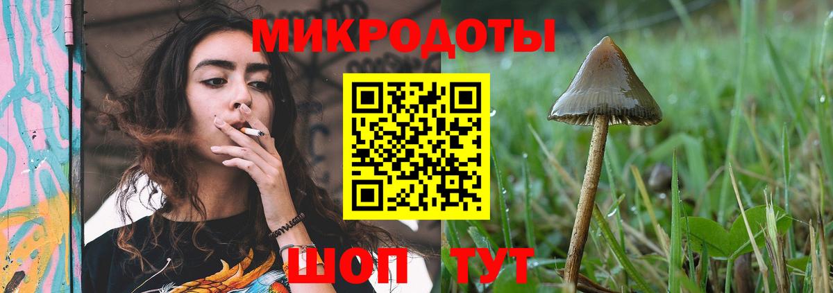 Псилоцибиновые грибы Cubensis  Вход с VPN  Кострома 